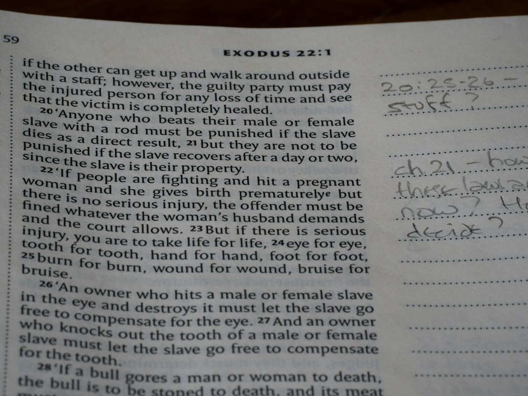 book plot outline